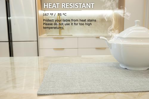 Placemat Set Washable Place Mats for Parties (4 Count)