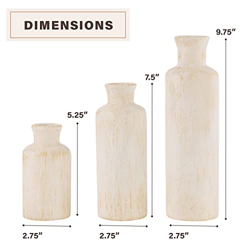 Rustic Luxe Vase Set (3 Count)