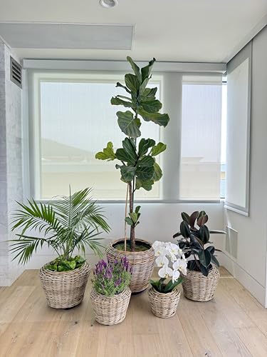 Rattan Planter Basket Plant Pot Holder 3.5