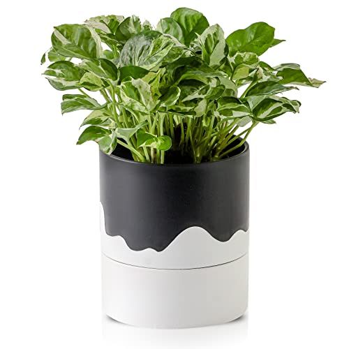 Ceramic Self Watering Plant Pot for Indoor Plants