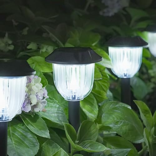 Solar Lights Outdoor (6 Count)