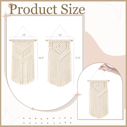 2Pcs Small Macrame Wall Hanging (2 Count)