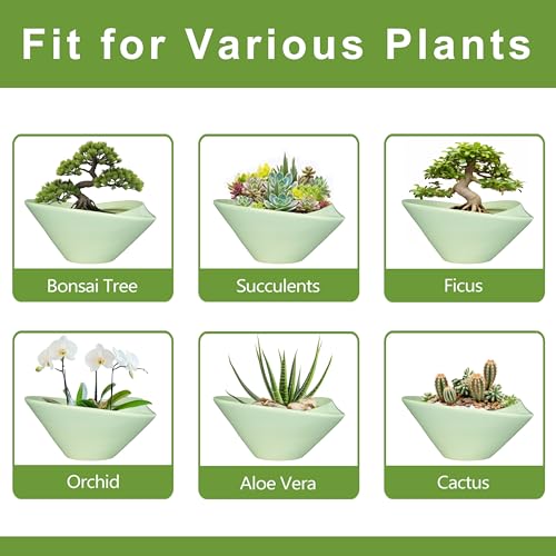 Ceramic Bonsai Pots
