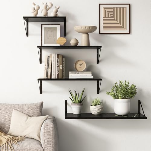 10 Inch Deep Floating Shelves (2 Count)