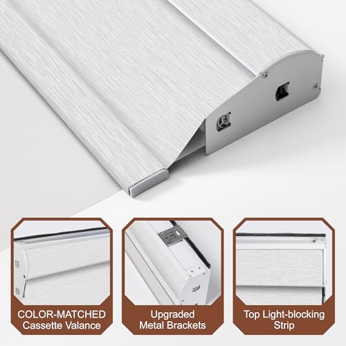Cordless Dual Roller Shades. White.39 W x 36" H