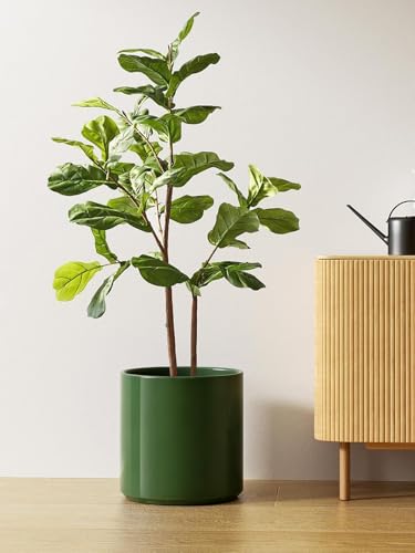 12 Inch Pot for Plants