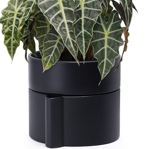8 Inch Self Watering Planter Pot with Terracotta Insert