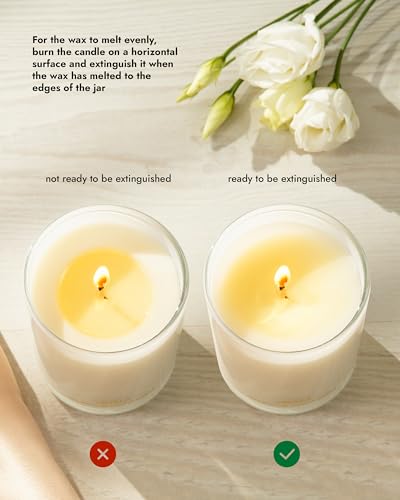 Pure Vanilla Candle (15.8 Ounce)
