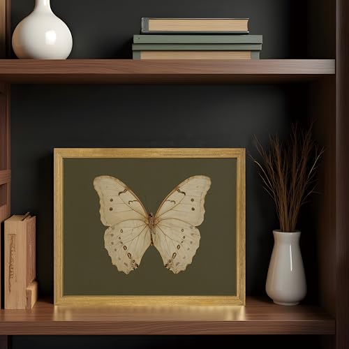 Wood Framed Butterfly Wall Art