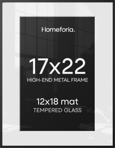 17x22 Black Picture Frame