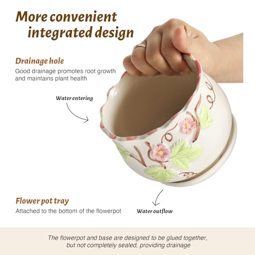 Ceramic Plant Pots with Drainage Holes and Saucers (3 Count)