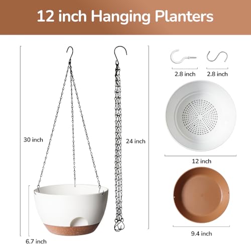 Hanging Planter