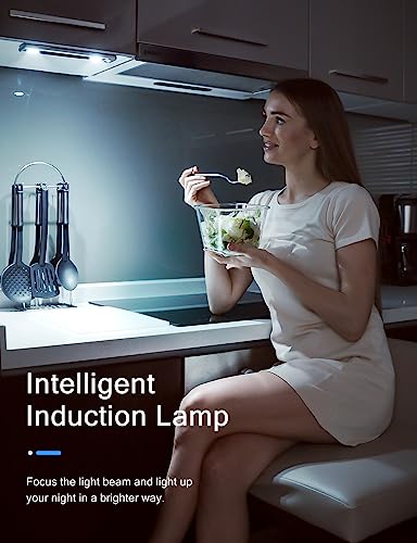 Under Cabinet Lights (2 Count)