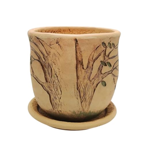 Ceramic Pot with Drainage Hole and Saucer