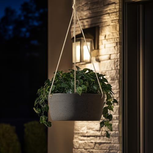 Large Hanging Planters for Outdoor Plants (2 Count)