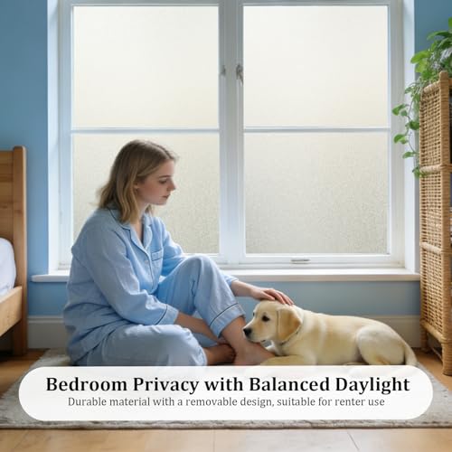 Window Privacy Film