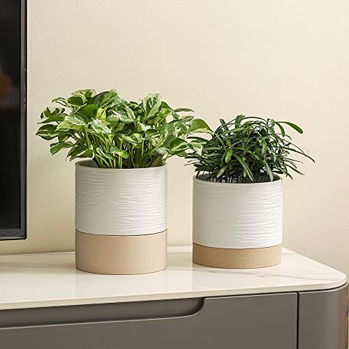 Ceramic Self Watering Plant Pot for Indoor Plants