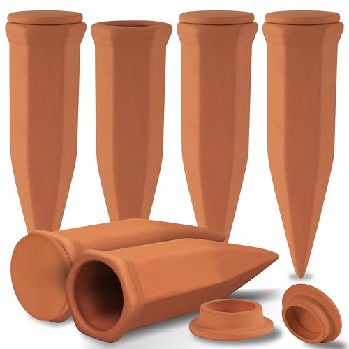 Large Terracotta Watering Spikes with Lids (6 Count)