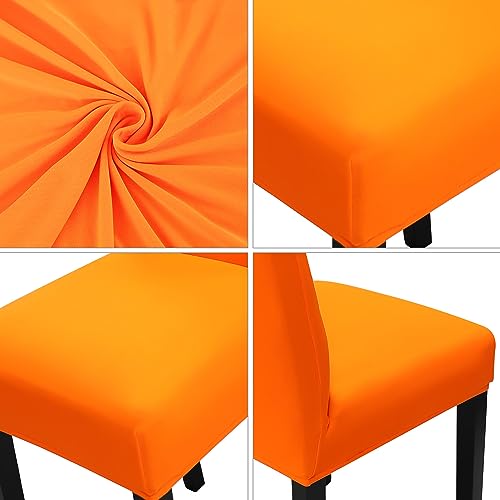 Dining Chair Slipcover