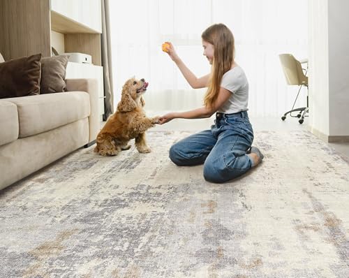 5x7 Area Rug Living Room Rugs