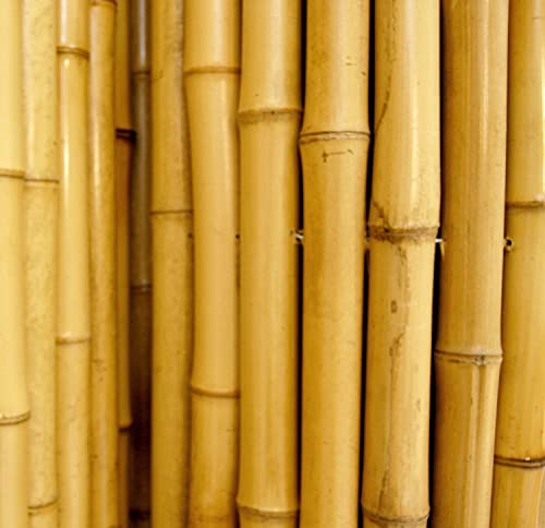 Natural Bamboo Fencing Decorative Rolled Fence Panel 0.75 in D x 4 ft H x 8 ft L (32 Sq Ft)