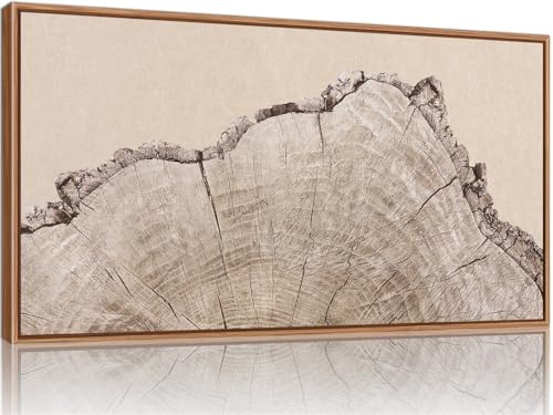 Large Tree Ring Framed Canvas Wall Art