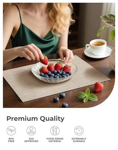 Woven Vinyl Beige Placemats Set of 6 (6 Count)