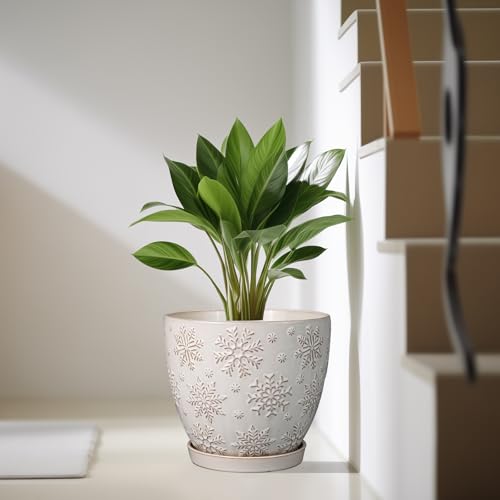 Ceramic Planter