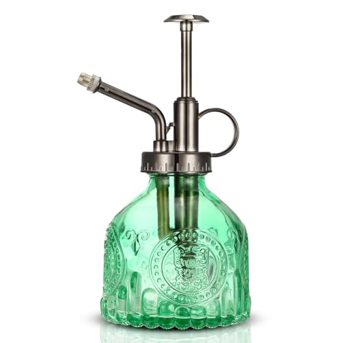 Glass Plant Mister Spray Bottle