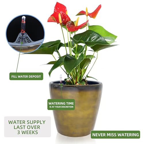 13x12 Self Watering Planter with Wheels
