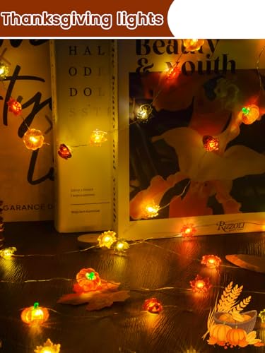 2 Pack 30 LED Fall Decorations