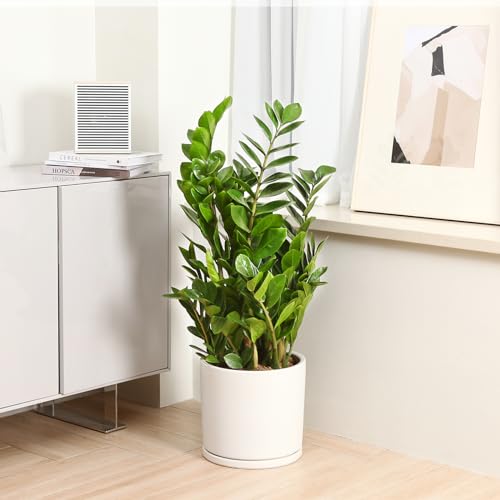12 Inches Ceramic Planter Pot