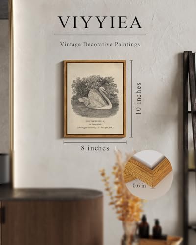 Framed Wall Art Decor for Living Room