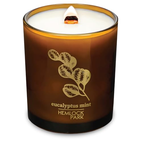 Eucalyptus Mint Amber & Gold Wood Wick Candle