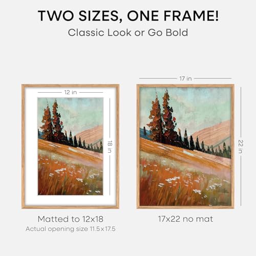 17x22 Natural Oak Picture Frame (2 Count)