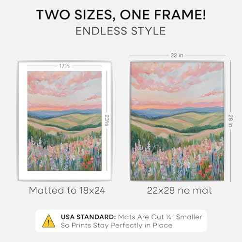 22x28 Silver Poster Frame (2 Count)