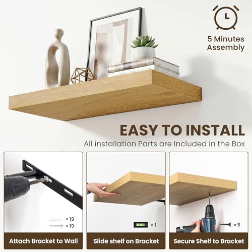 48 Inch Floating Shelves for Wall Set of 1