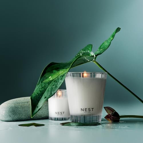 Scented Classic Candle (8.1 Ounce)