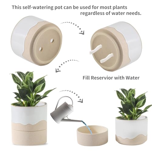 Self Watering Plant Pot