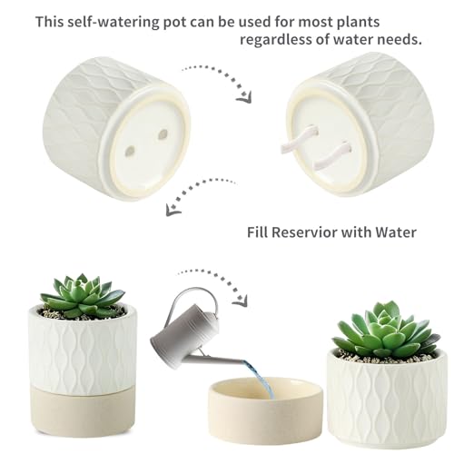 Self Watering Ceramic Plant Pot