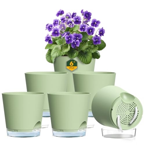 6 inch Self Watering Pots for Indoor Outdoor Plants (6 Count)
