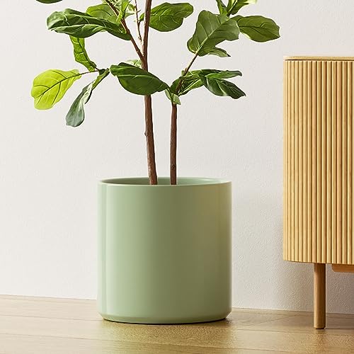 12 Inch Pot for Plants