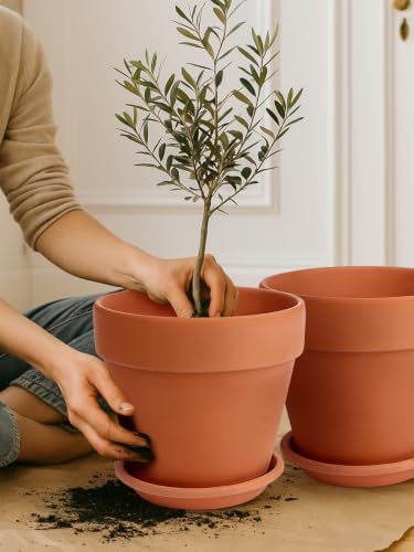 12 Inch Terracotta Pot Set of 2 with Saucer (2 Count)