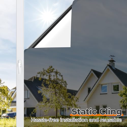 Window Tint for Home (38.75 Sq Ft)