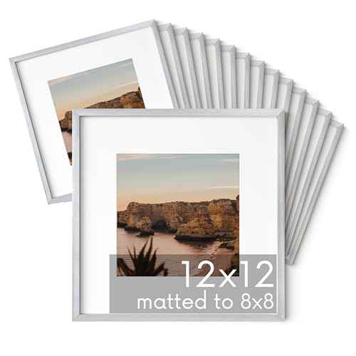 12x12 Silver Metal Picture Frames Matted to 8x8