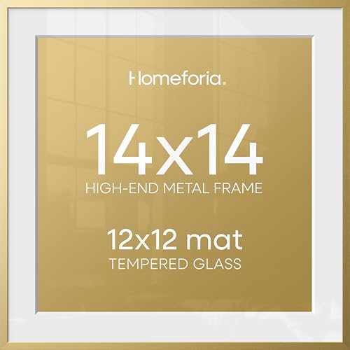 14x14 Gold Picture Frame