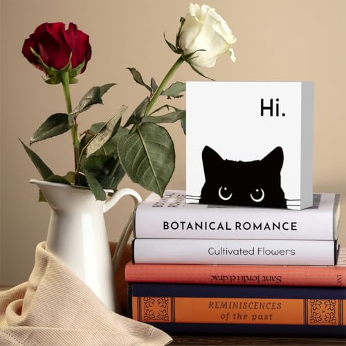 Black Cat Desk Decor