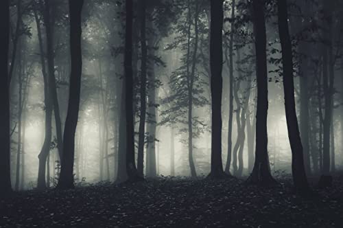 Foggy Forest Wallpaper Misty Jungle Rainforest Trees Nature Landscape Wall Mural