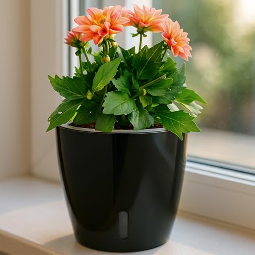 Self Watering Pots for Indoor Plants (8 Count)