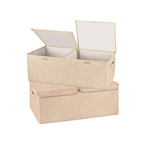2 Pack Storage Boxes with Lids and Handles (2 Count)